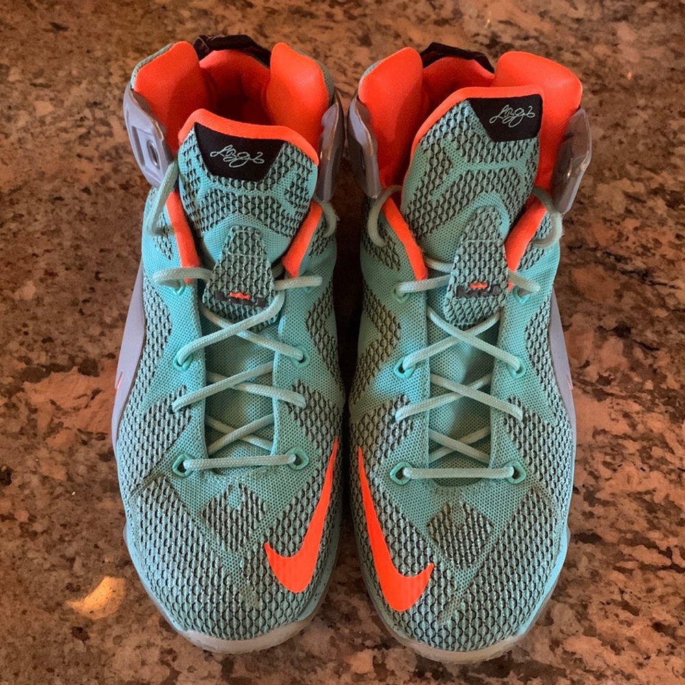 Lebron high too basketball shoes